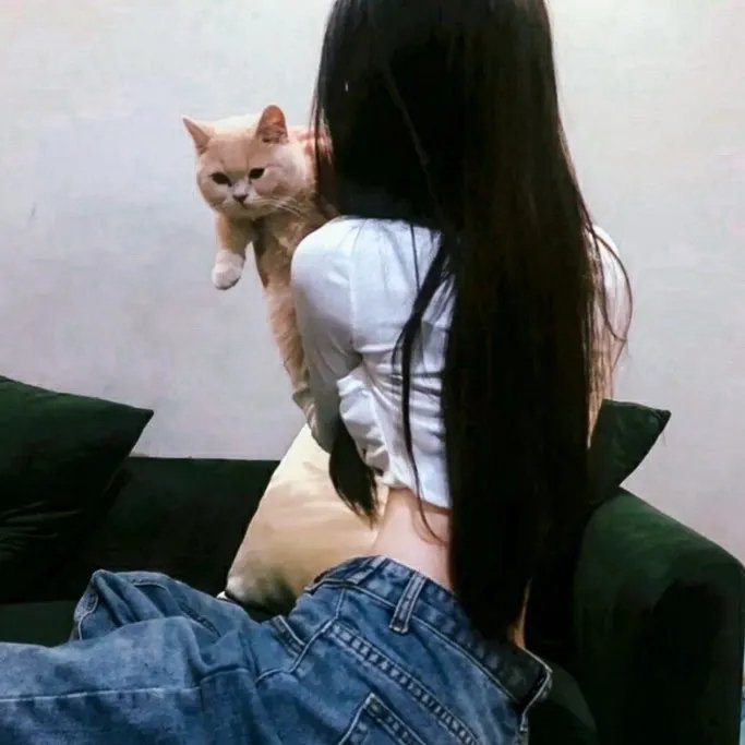 智叻狗仔队