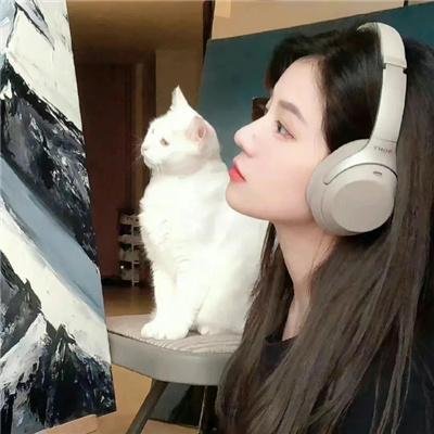 公主复仇者