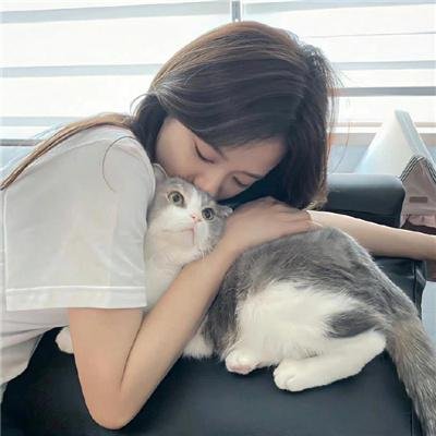 虎啸苍穹